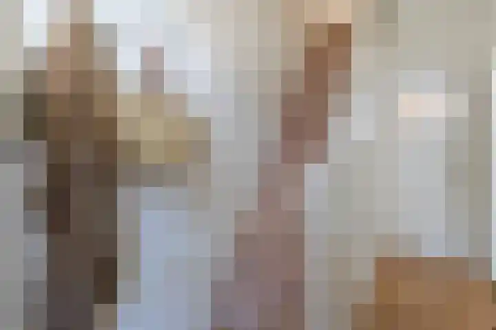 Hugo de Grootstraat 24 Sliedrecht thumbnail 13