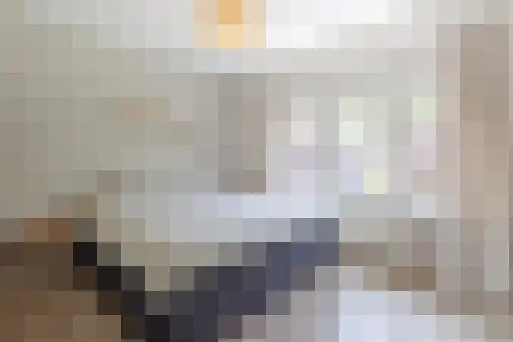 Hugo de Grootstraat 24 Sliedrecht thumbnail 14