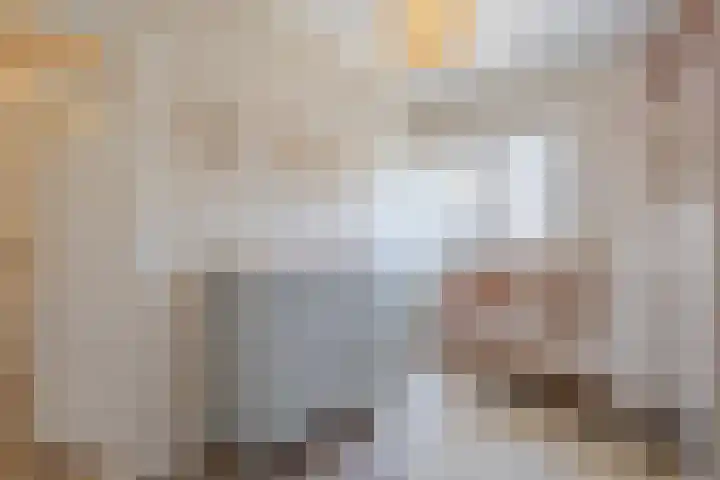 Hugo de Grootstraat 24 Sliedrecht thumbnail 17