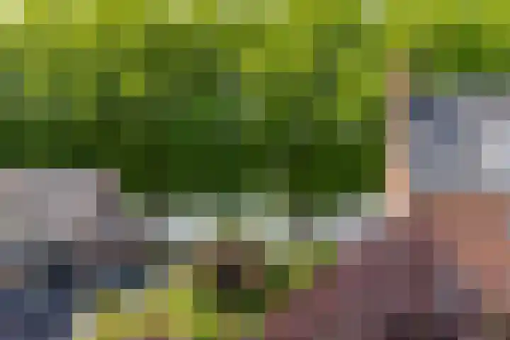 Hugo de Grootstraat 24 Sliedrecht thumbnail 22