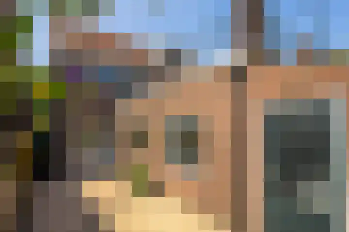 Hugo de Grootstraat 24 Sliedrecht thumbnail 25