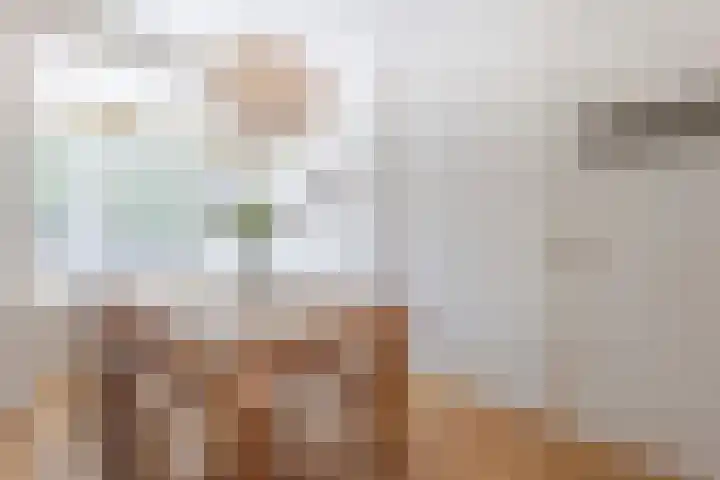 Hugo de Grootstraat 24 Sliedrecht thumbnail 5