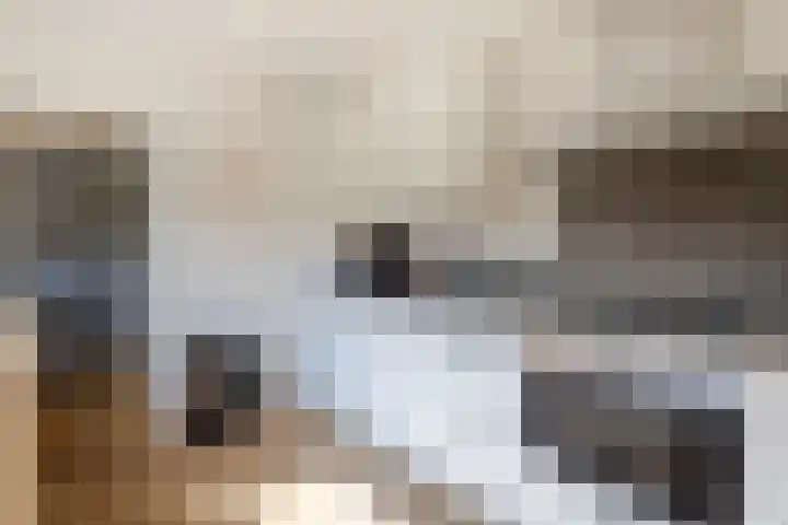 Hugo de Grootstraat 24 Sliedrecht thumbnail 9