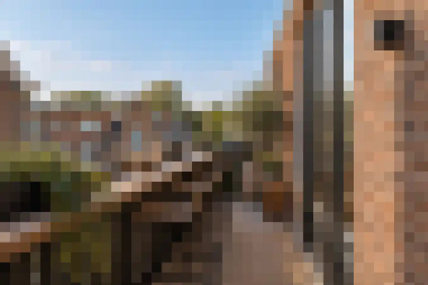 Hugo de Grootstraat 28 BS Utrecht thumbnail 17