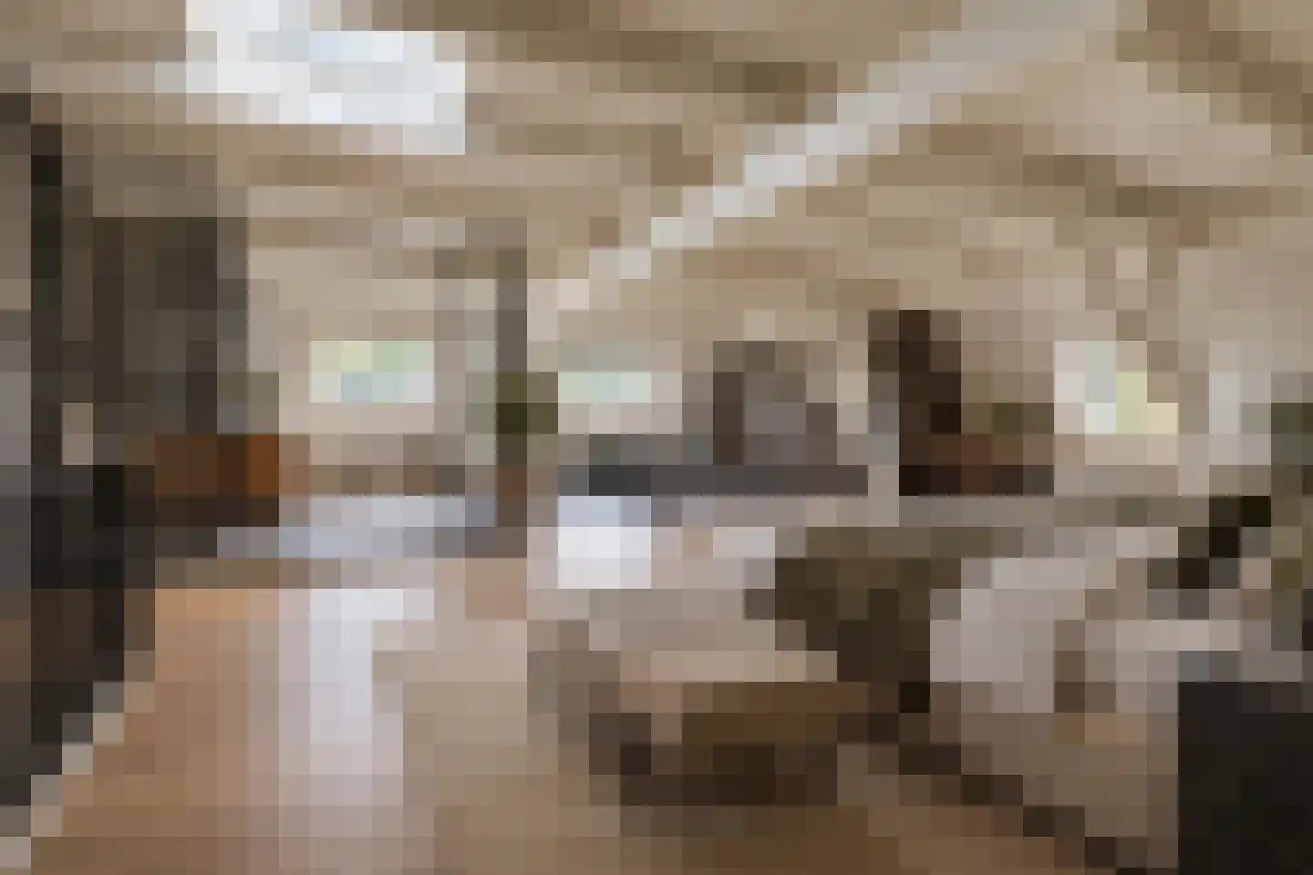 Hugo de Grootstraat 28 BS Utrecht thumbnail 18