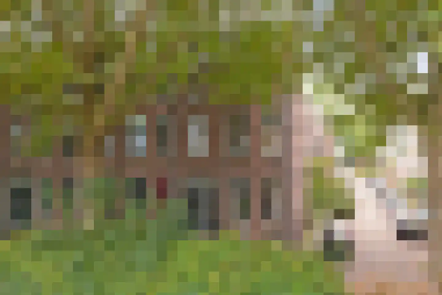 Hugo de Grootstraat 28 BS Utrecht thumbnail 20