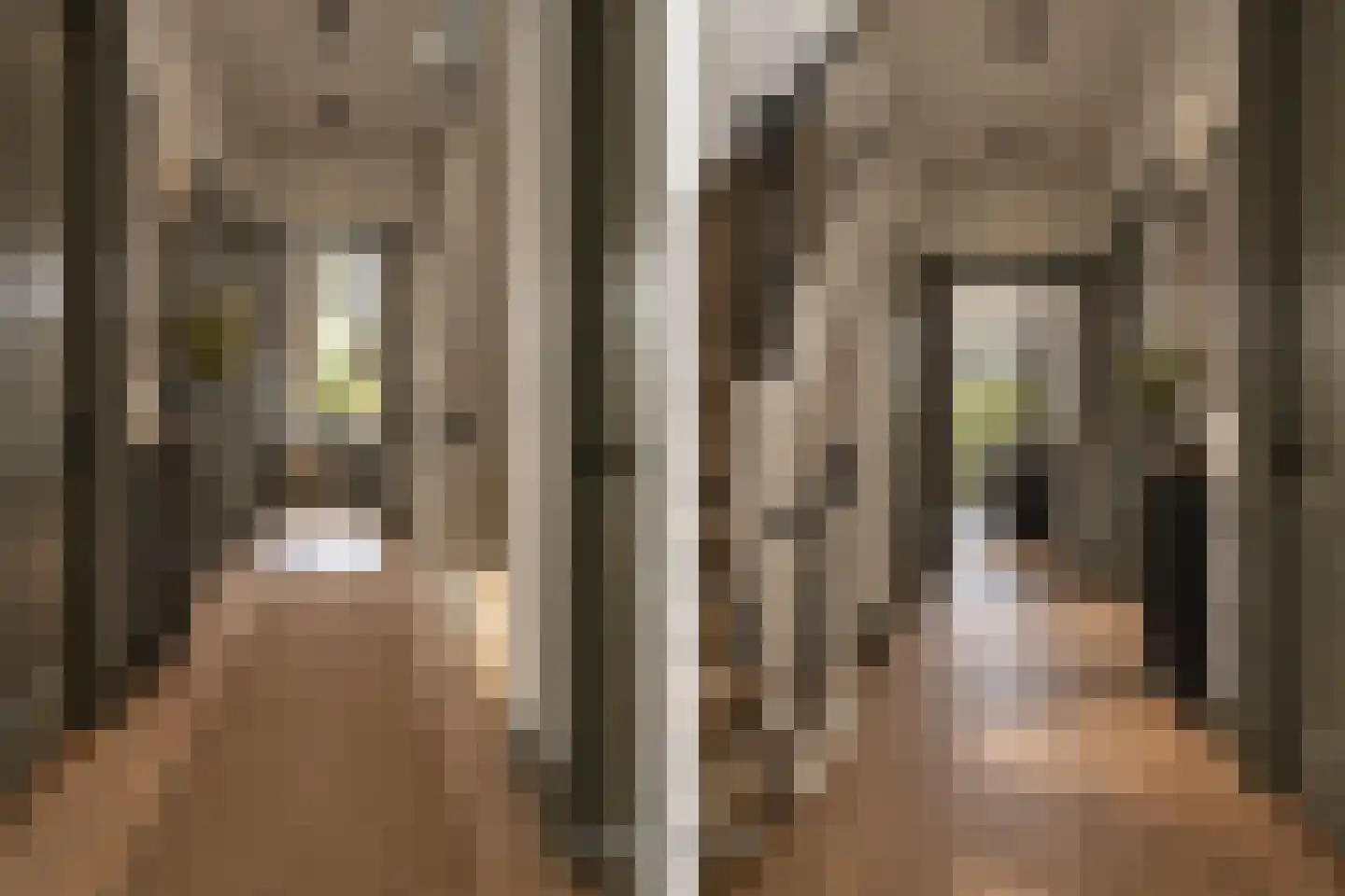 Hugo de Grootstraat 28 BS Utrecht thumbnail 8