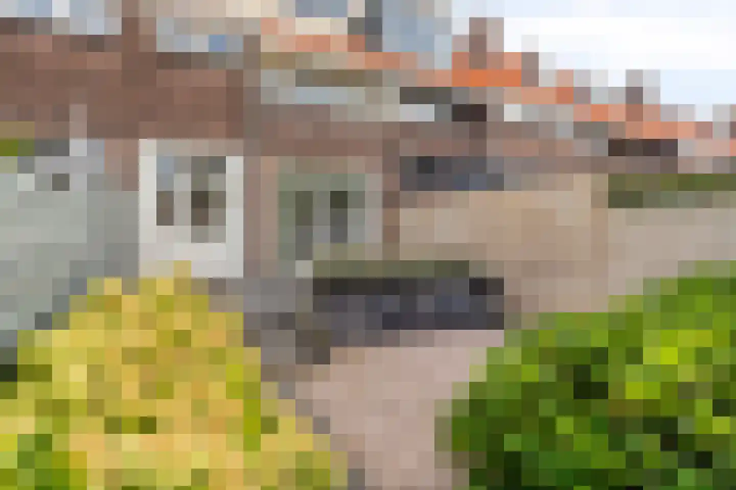 Hugo de Grootstraat 29 Wassenaar thumbnail 15