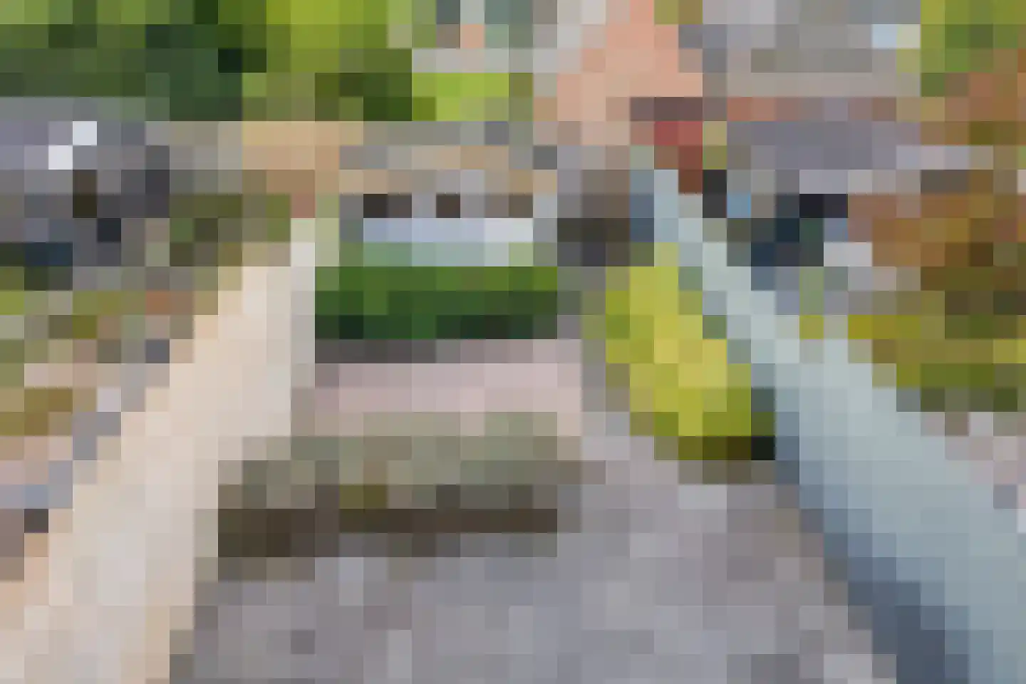 Hugo de Grootstraat 29 Wassenaar thumbnail 5