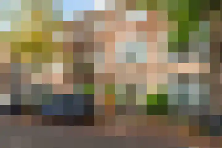 Hugo de Grootstraat 294 Delft thumbnail 7