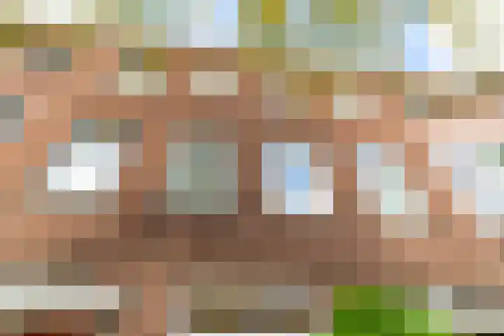 Hugo de Grootstraat 294 Delft thumbnail 9
