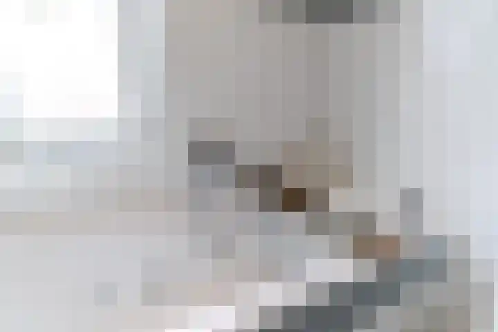 Hugo de Grootstraat 3 C Den Haag thumbnail 22