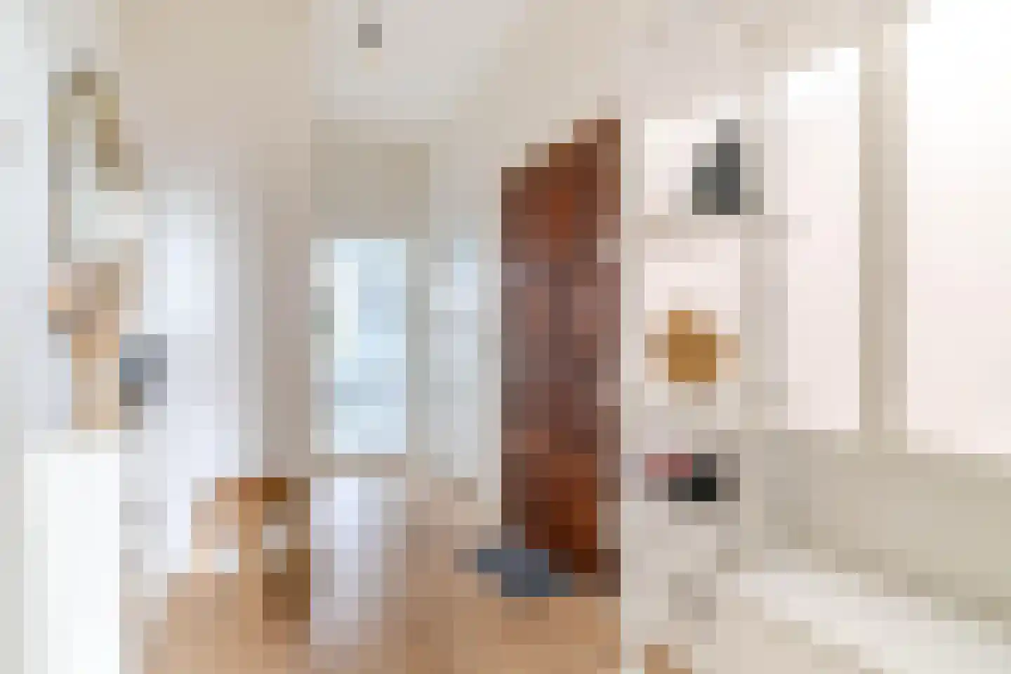 Hugo de Grootstraat 3 C Den Haag thumbnail 6