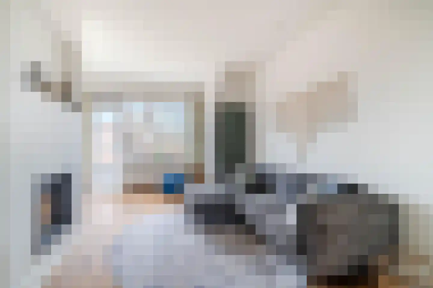 Hugo de Grootstraat 3 C Den Haag thumbnail 7