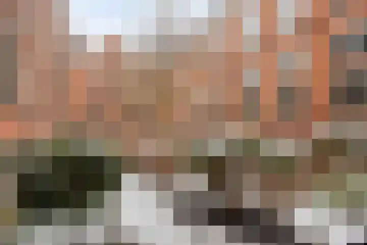 Hugo de Grootstraat 33 Leiden thumbnail 13