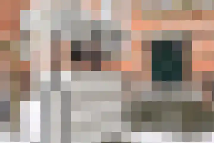 Hugo de Grootstraat 33 Leiden thumbnail 5