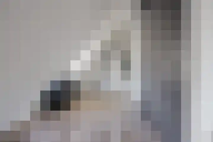 Hugo de Grootstraat 35 C Drunen thumbnail 5