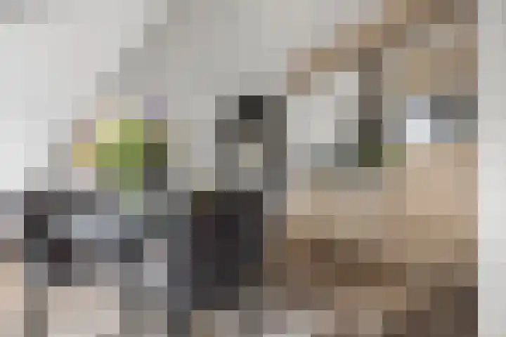 Hugo de Grootstraat 35 C Drunen thumbnail 9