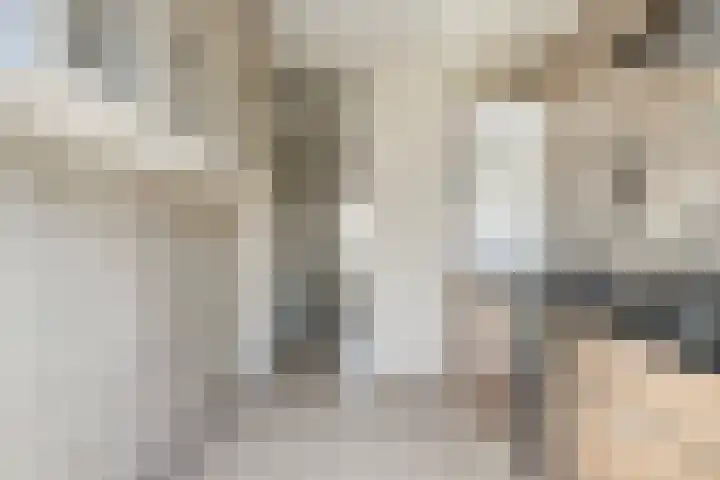 Hugo de Grootstraat 39 Kruiningen thumbnail 12