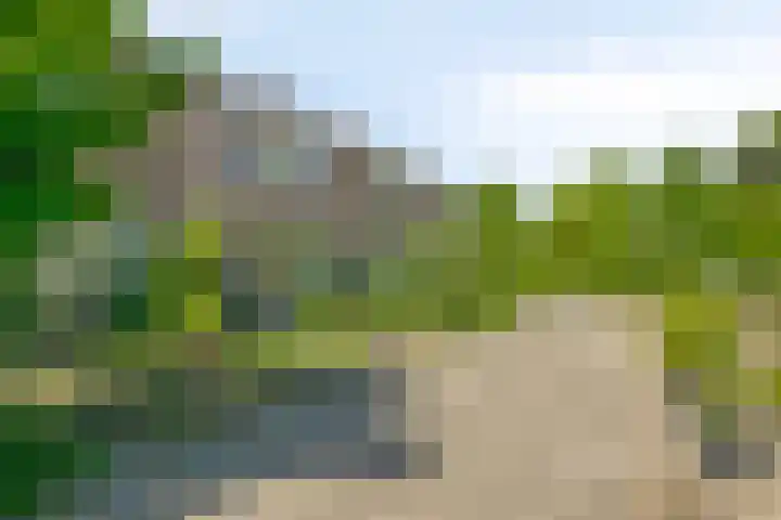 Hugo de Grootstraat 39 Kruiningen thumbnail 34