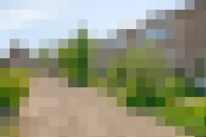 Hugo de Grootstraat 39 Kruiningen thumbnail 35