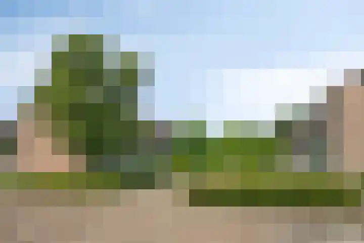 Hugo de Grootstraat 39 Kruiningen thumbnail 36