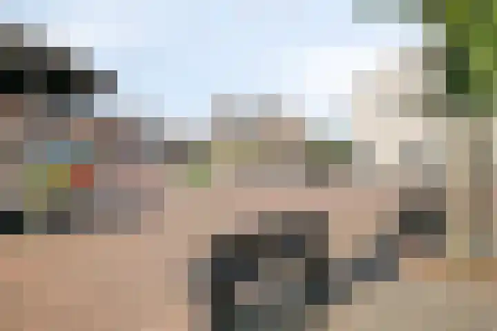 Hugo de Grootstraat 39 Kruiningen thumbnail 38