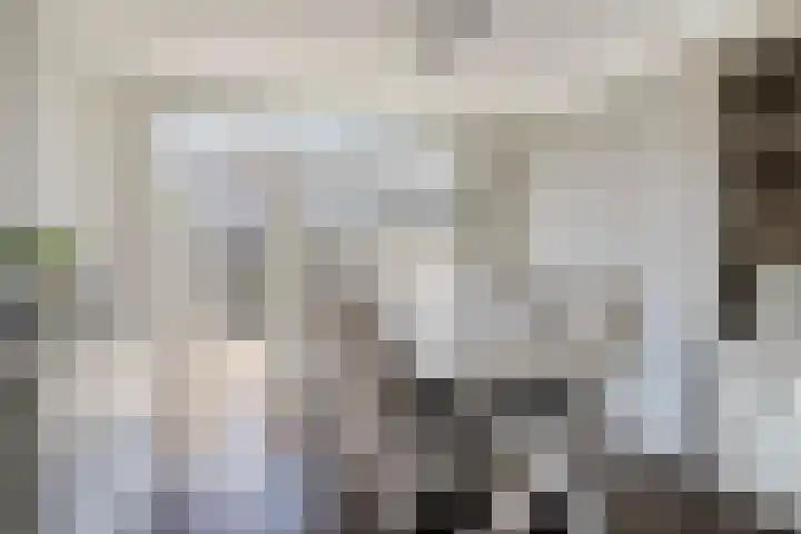 Hugo de Grootstraat 39 Kruiningen thumbnail 8