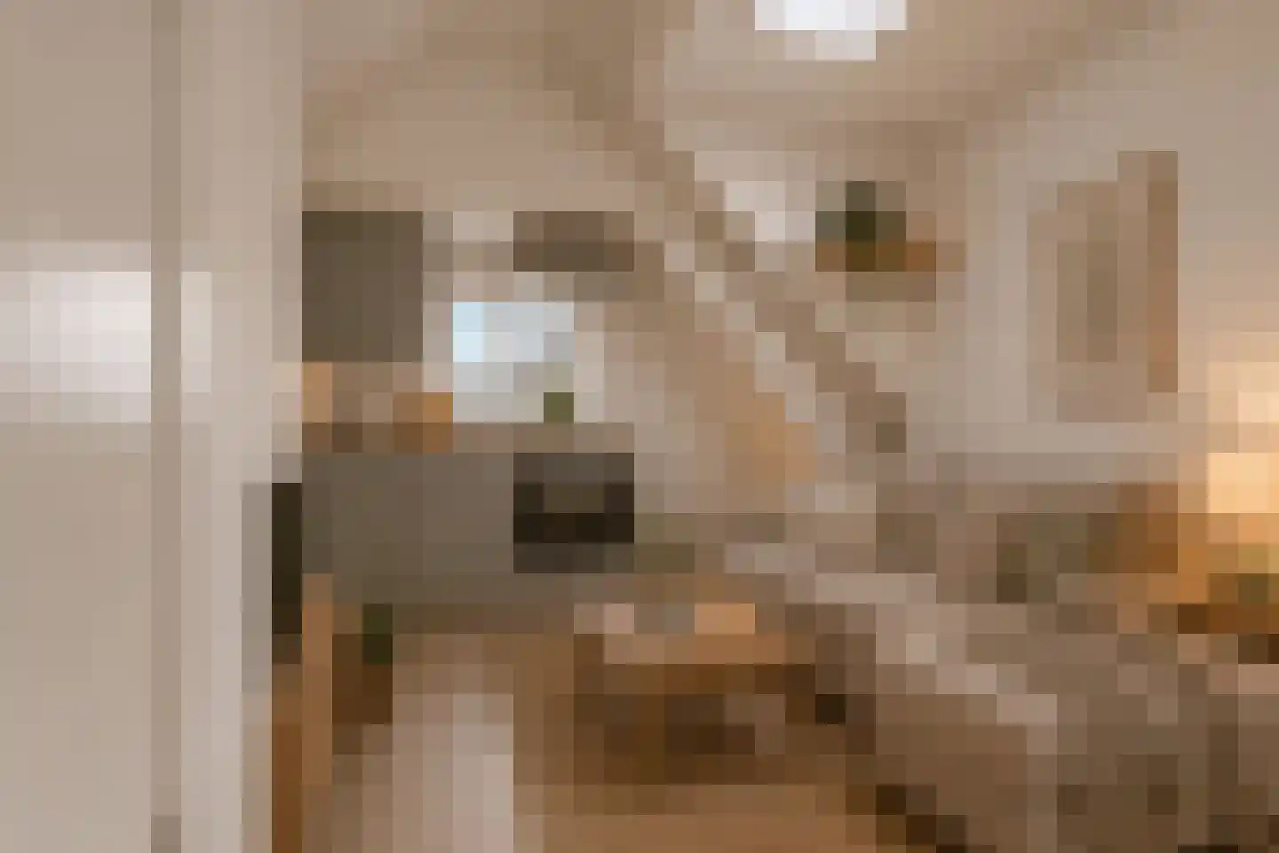 Hugo de Grootstraat 4 B Nijmegen thumbnail 8