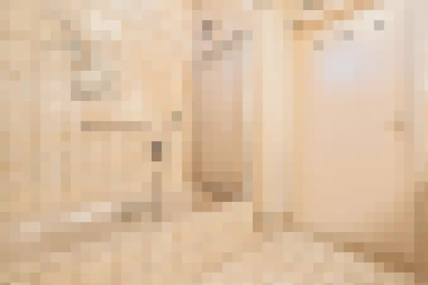 Hugo de Grootstraat 4 Krommenie thumbnail 11