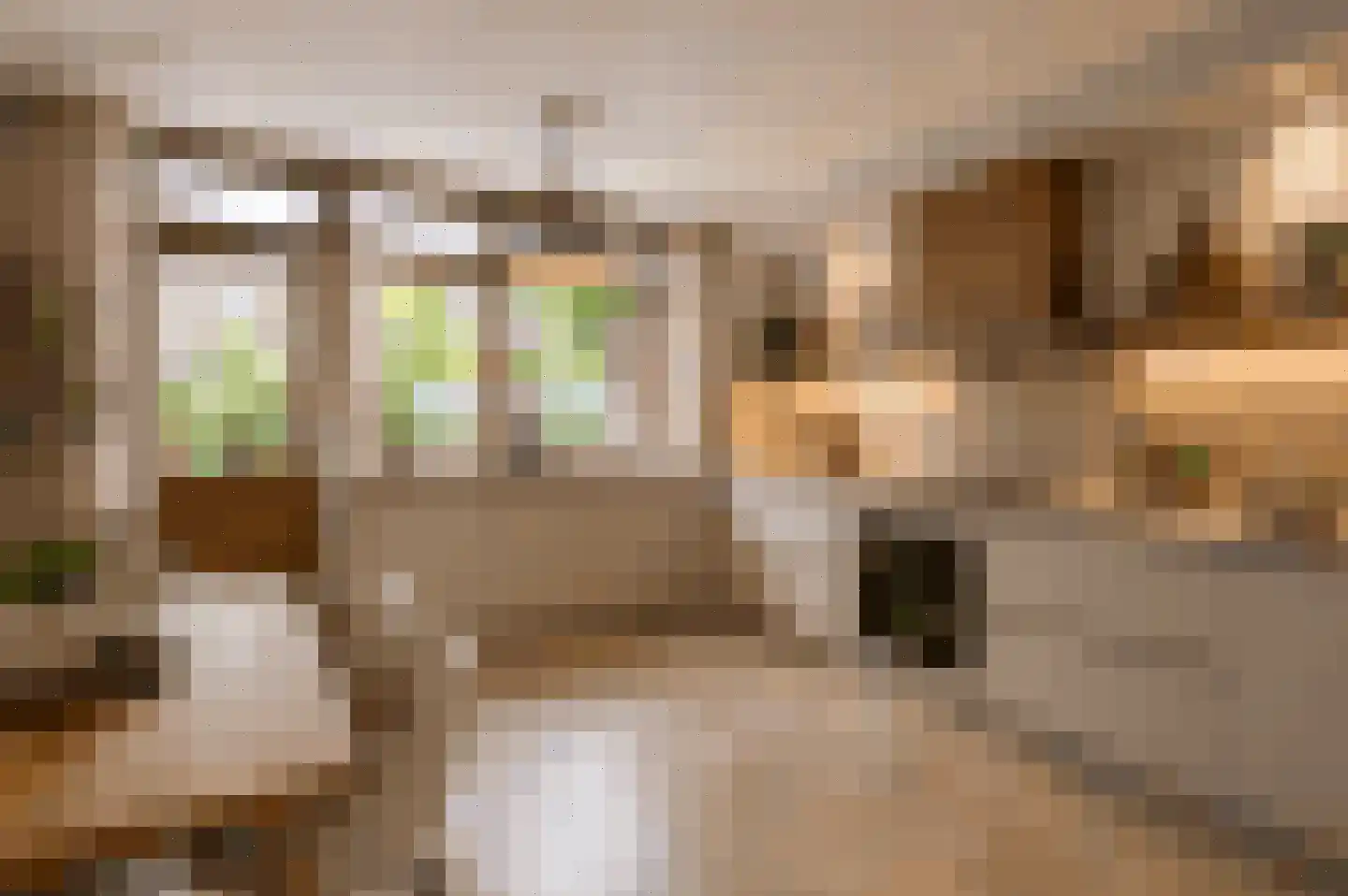 Hugo de Grootstraat 4 Krommenie thumbnail 12