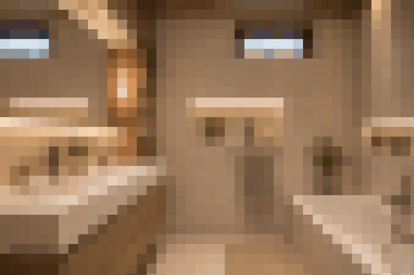 Hugo de Grootstraat 4 Krommenie thumbnail 17