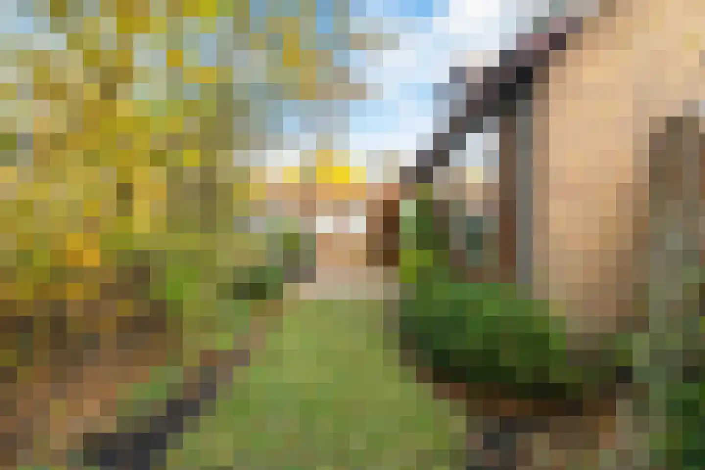 Hugo de Grootstraat 4 Krommenie thumbnail 17