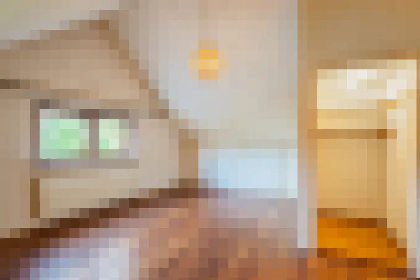 Hugo de Grootstraat 4 Krommenie thumbnail 27