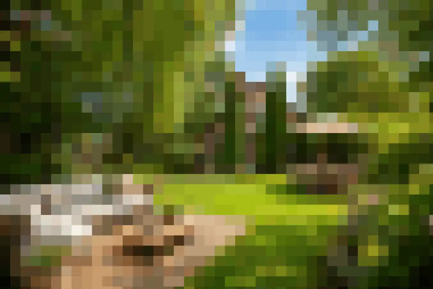 Hugo de Grootstraat 4 Krommenie thumbnail 28