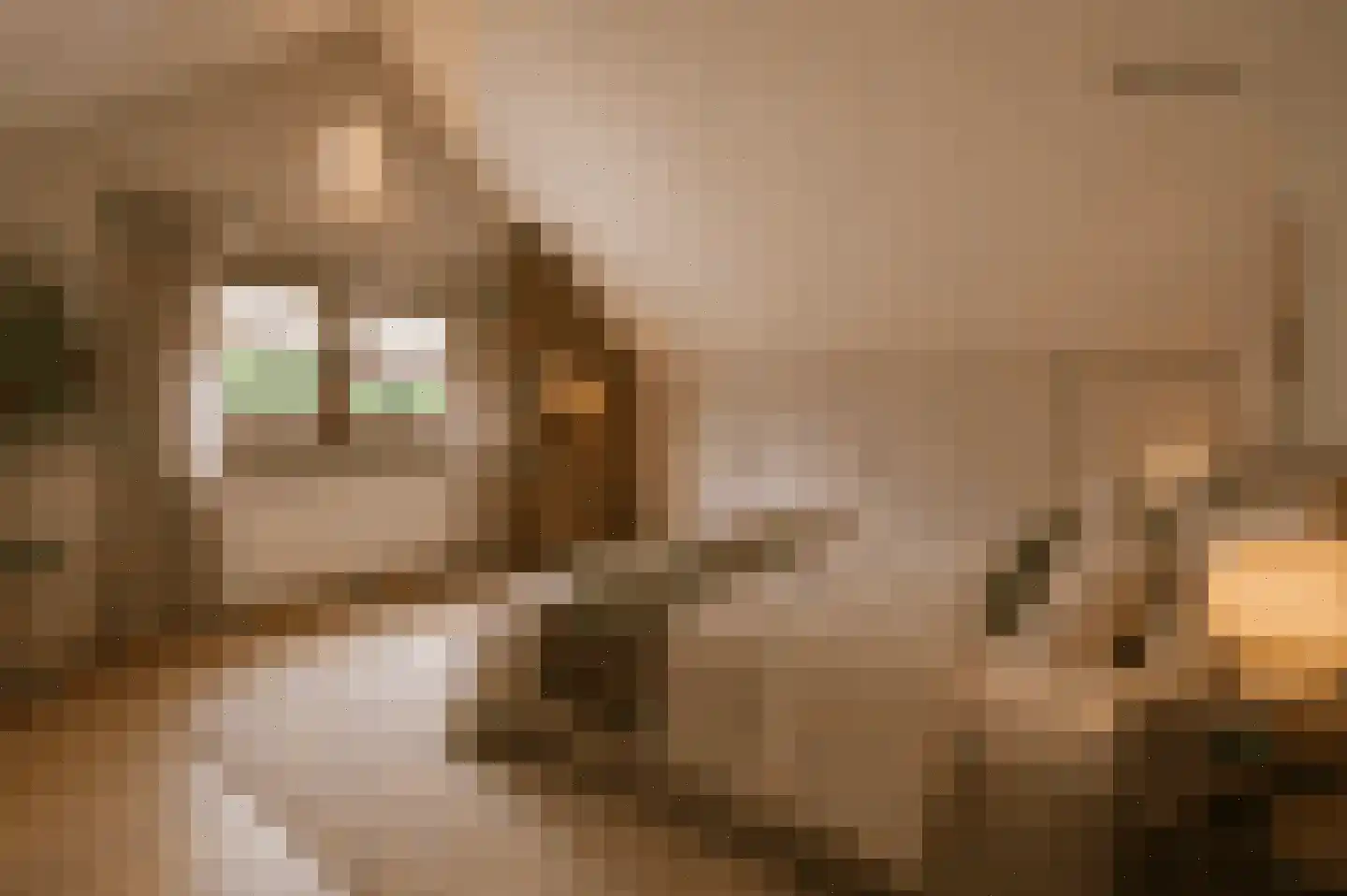 Hugo de Grootstraat 4 Krommenie thumbnail 34