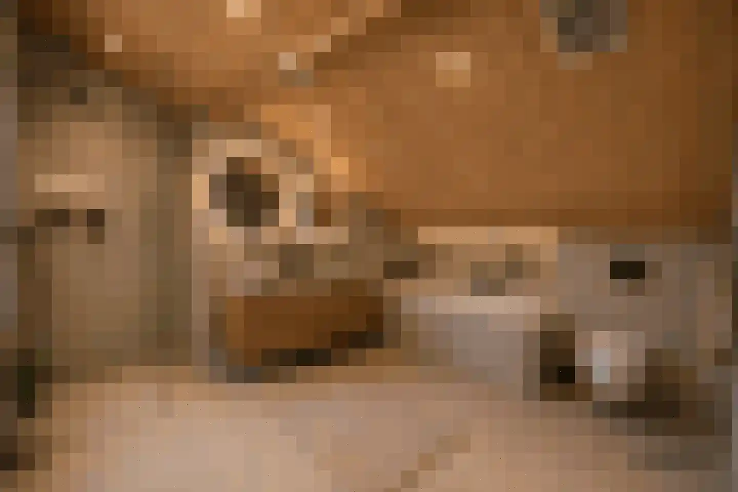Hugo de Grootstraat 4 Krommenie thumbnail 39