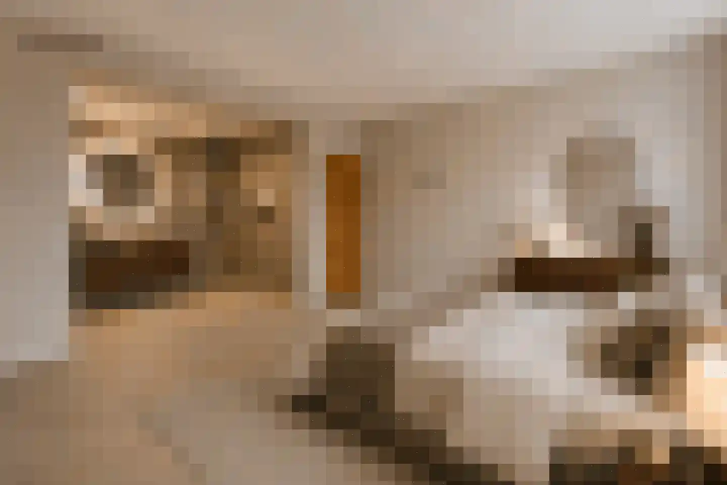 Hugo de Grootstraat 4 Krommenie thumbnail 5
