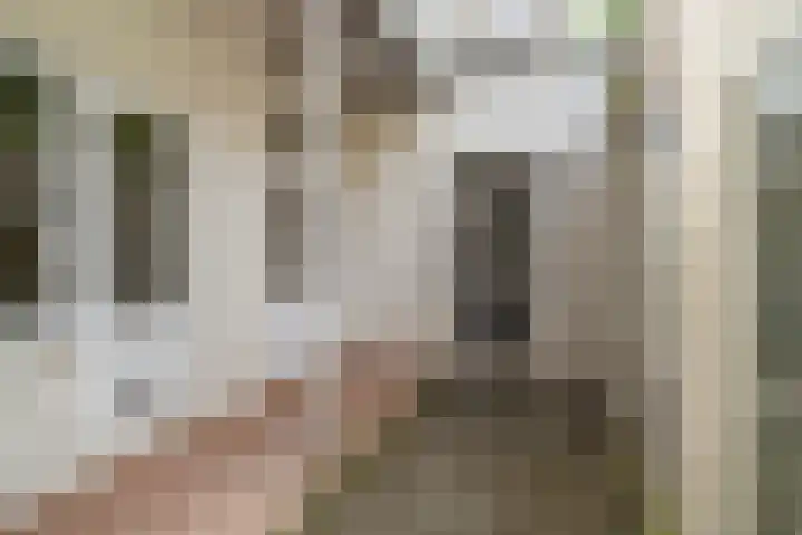 Hugo de Grootstraat 43 Den Haag thumbnail 8