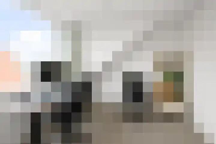 Hugo de Grootstraat 46 Alphen aan den Rijn thumbnail 16