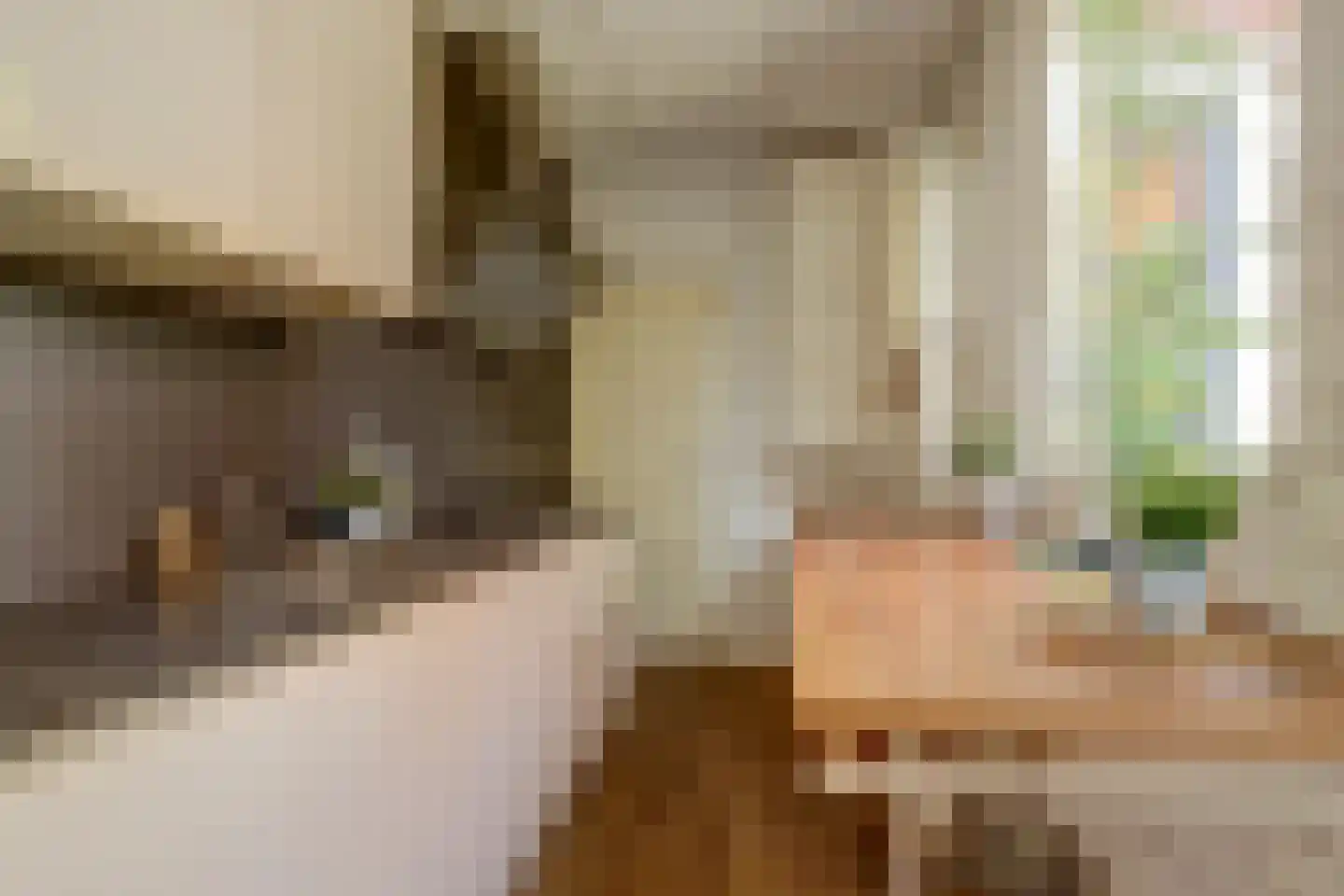 Hugo de Grootstraat 47 Delft thumbnail 22