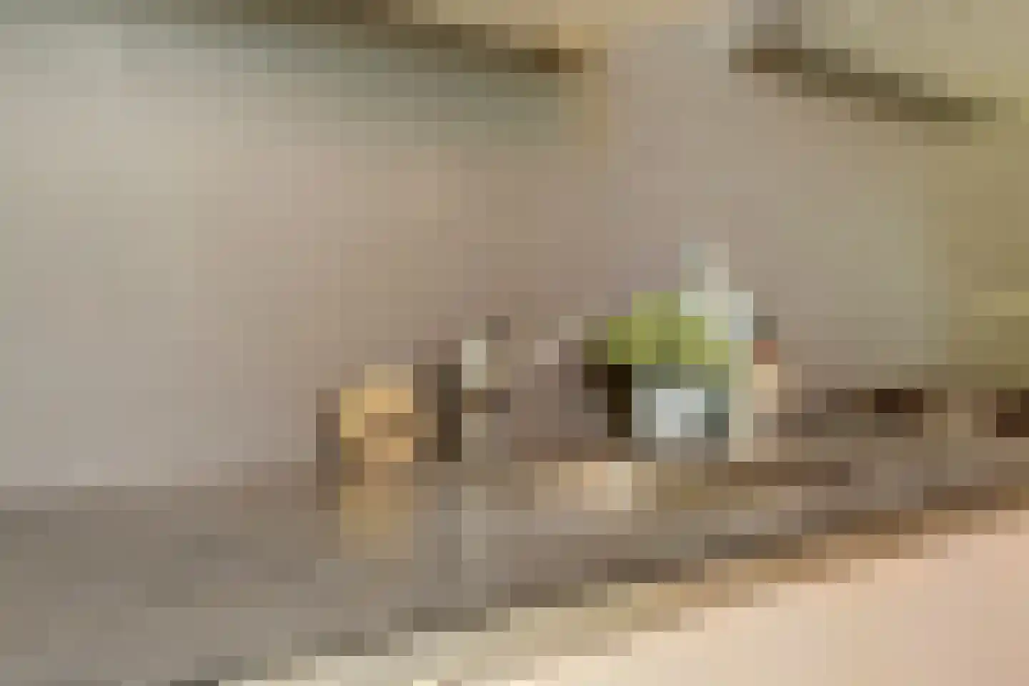 Hugo de Grootstraat 47 Delft thumbnail 23
