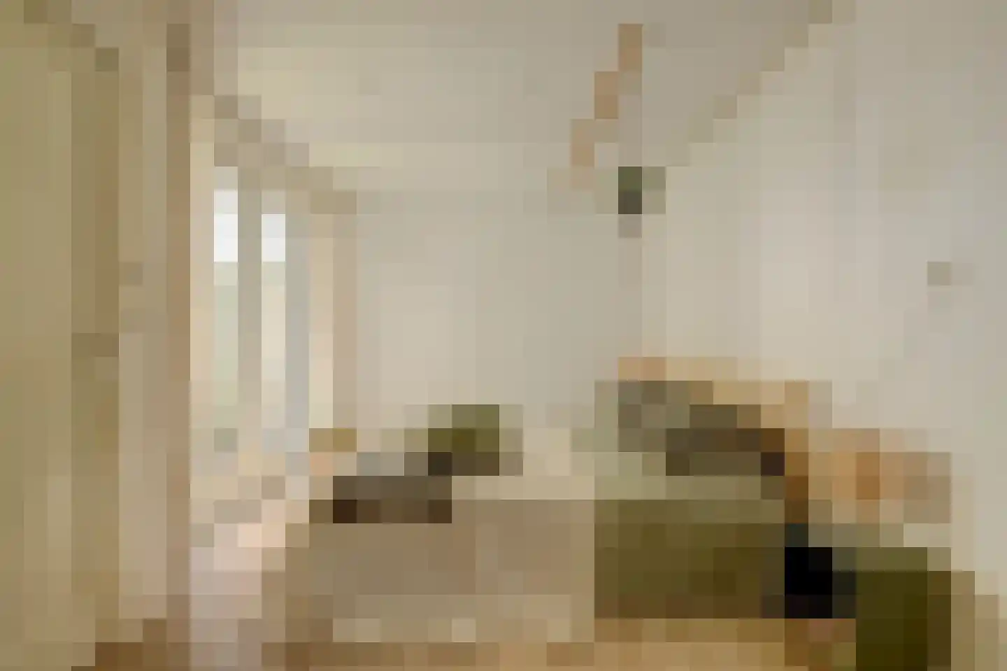 Hugo de Grootstraat 47 Delft thumbnail 4
