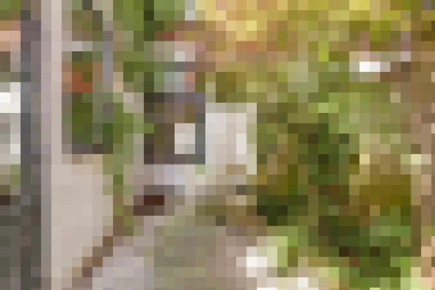 Hugo de Grootstraat 47 Delft thumbnail 5