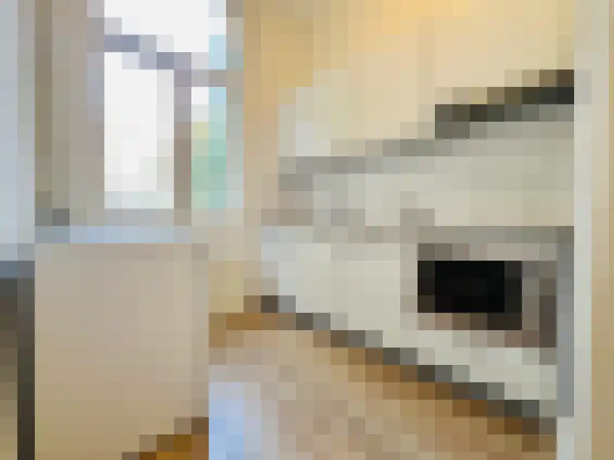 Hugo de Grootstraat 49 A Den Haag thumbnail 4