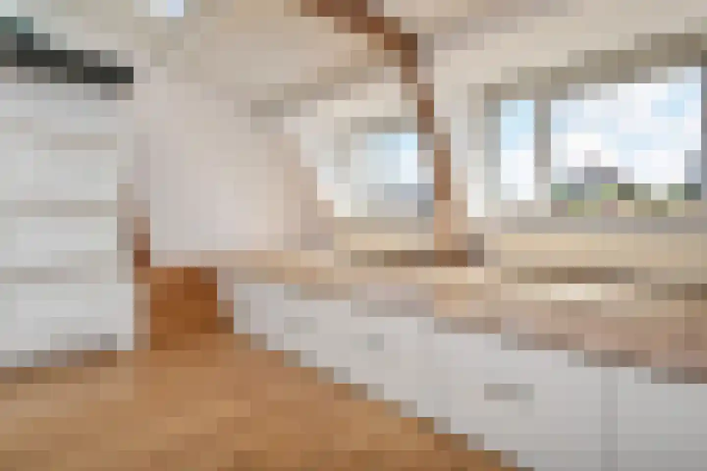 Hugo de Grootstraat 5 C Den Haag thumbnail 6
