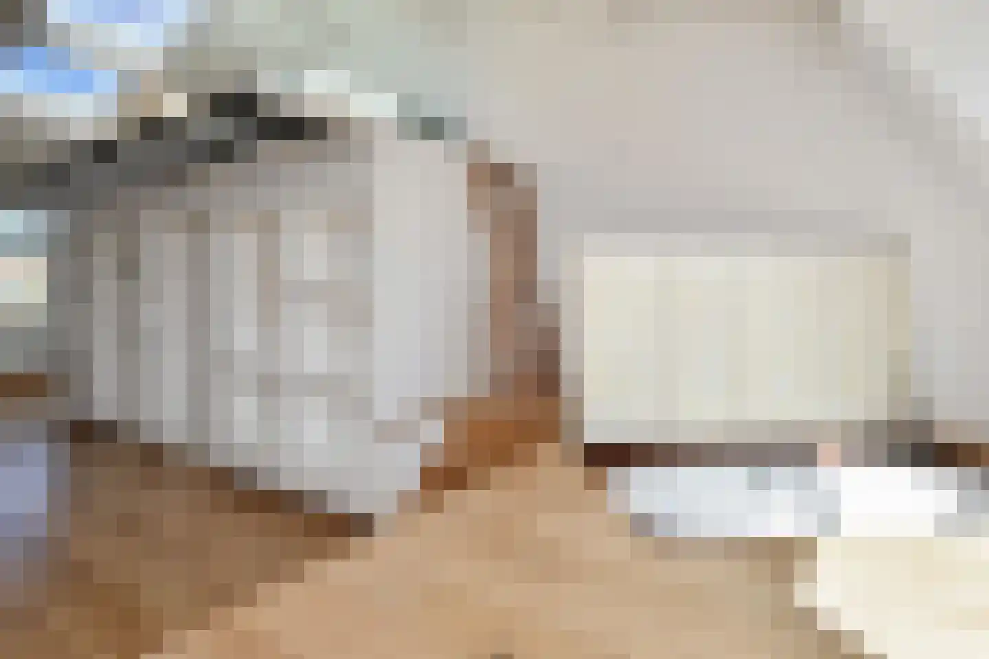 Hugo de Grootstraat 5 C Den Haag thumbnail 8