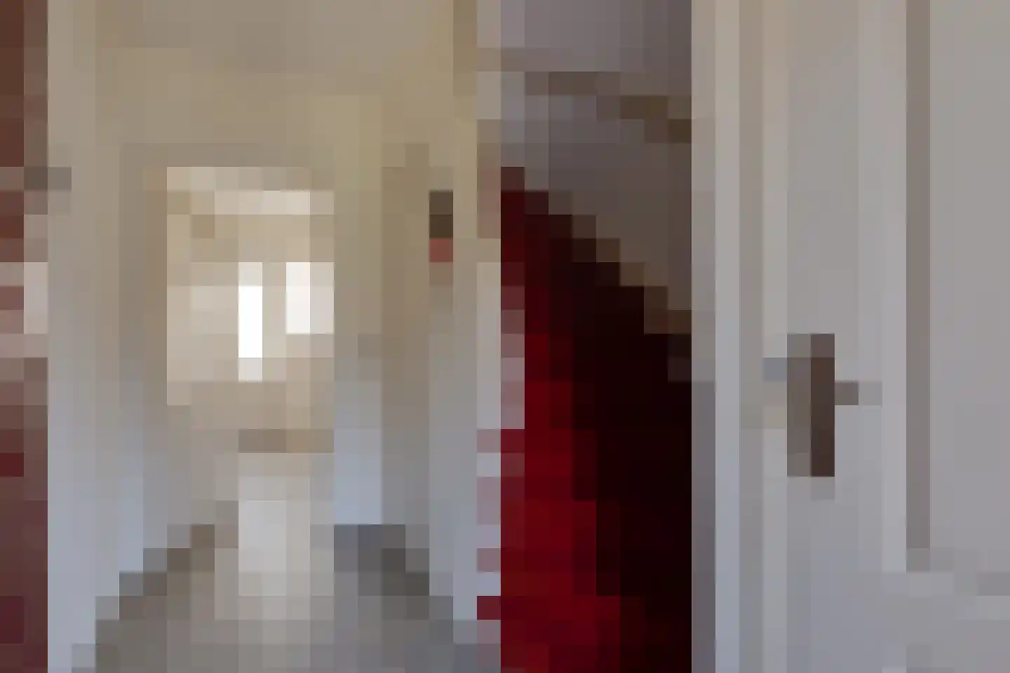 Hugo de Grootstraat 5 Lichtenvoorde thumbnail 19