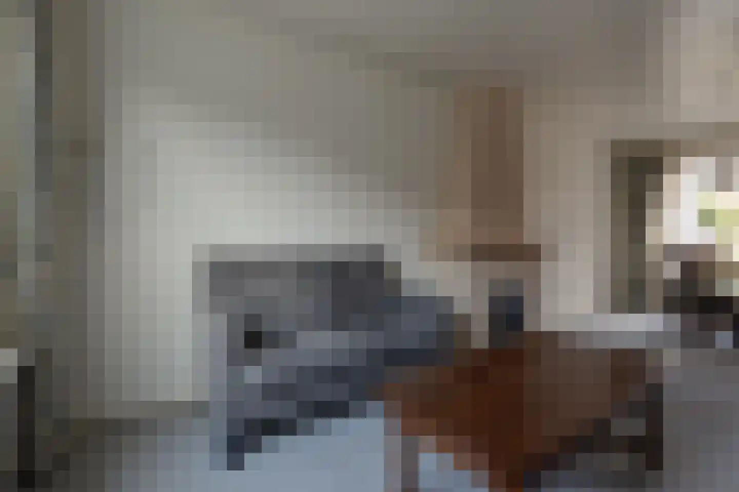 Hugo de Grootstraat 5 Lichtenvoorde thumbnail 5
