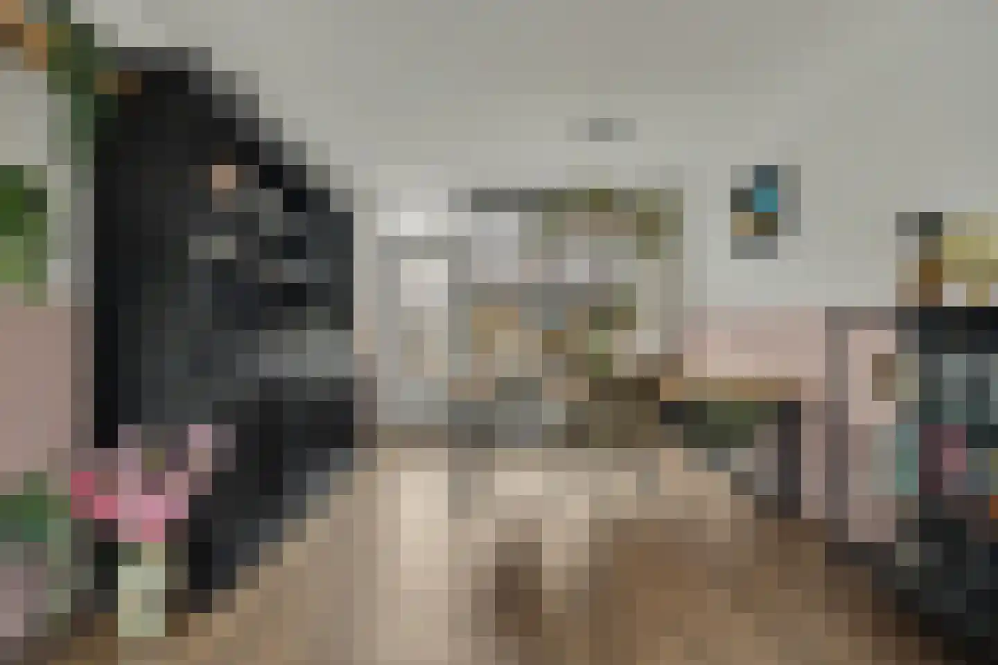 Hugo de Grootstraat 51 Kruiningen thumbnail 10